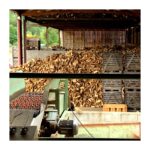 3 cubic meters of logs – 50 cm – Bulk (2 m³) – Mix of oak, beech, and hornbeam - Image 2